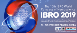 IBROcongress2019banner