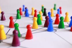 coloured pions network