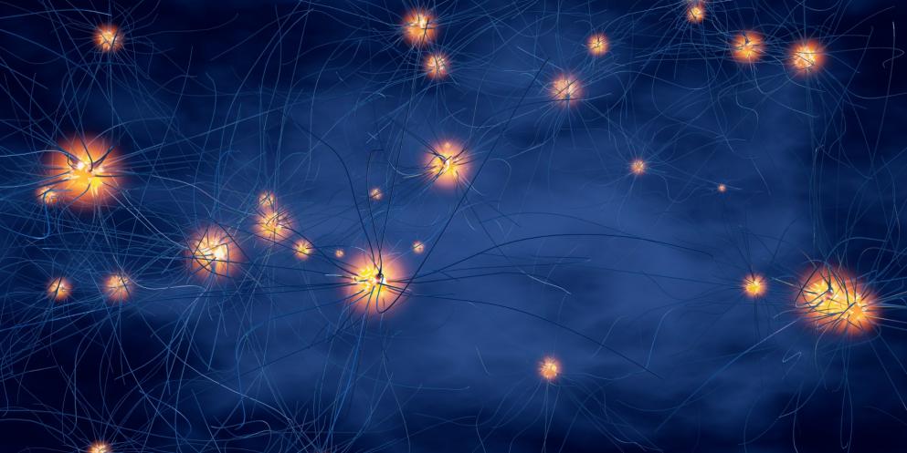 Brain synapse