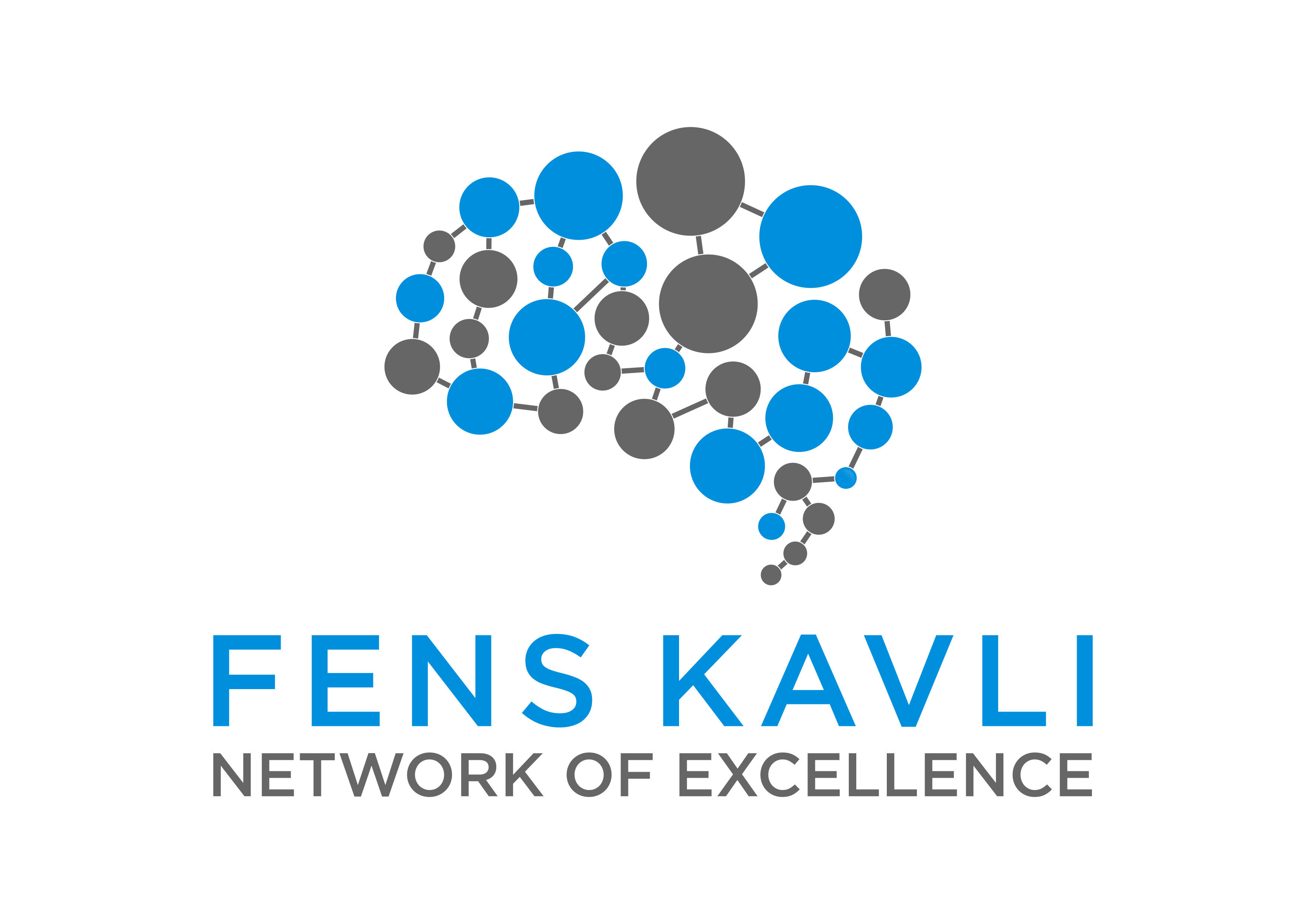 FKNE logo