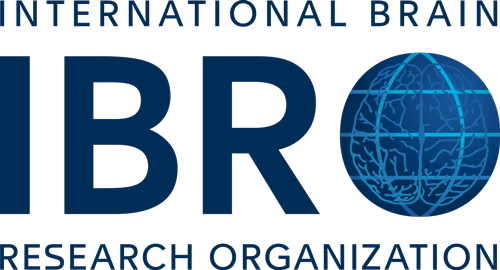 IBRO logo