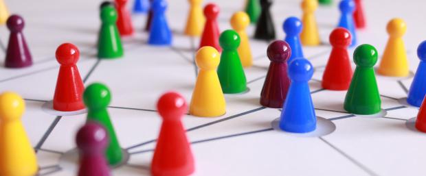 coloured pions network