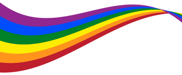 LGBTQIA flag