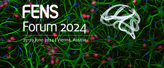 Astrocytes in green and the FENS Forum 24 logo in white