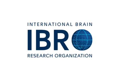 IBRO resized 2023-1