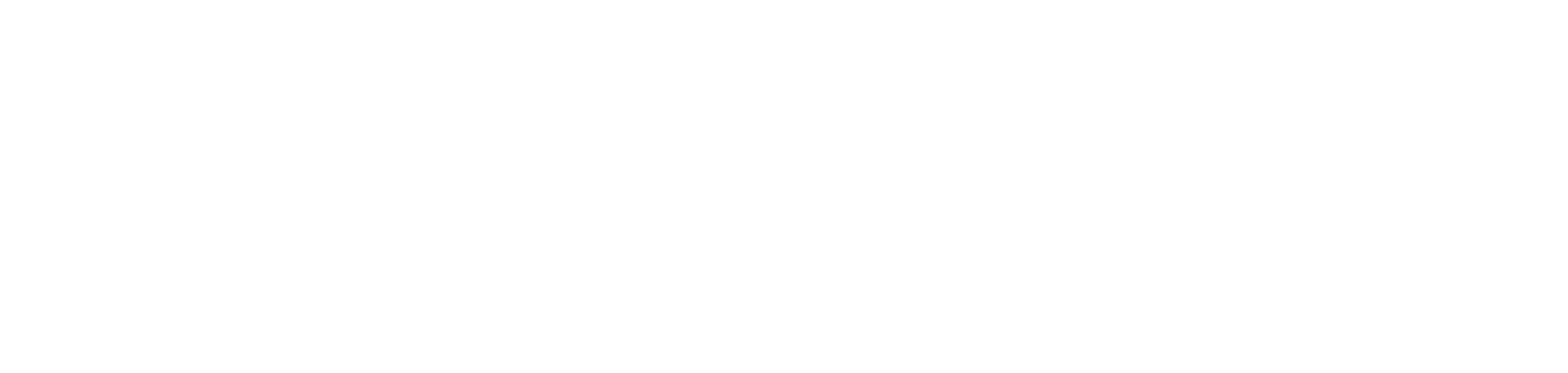 FENS Logo